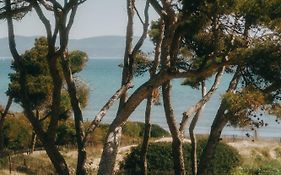 Le Domaine de la mer - Beach hotel Nature&Authenticité Hyères